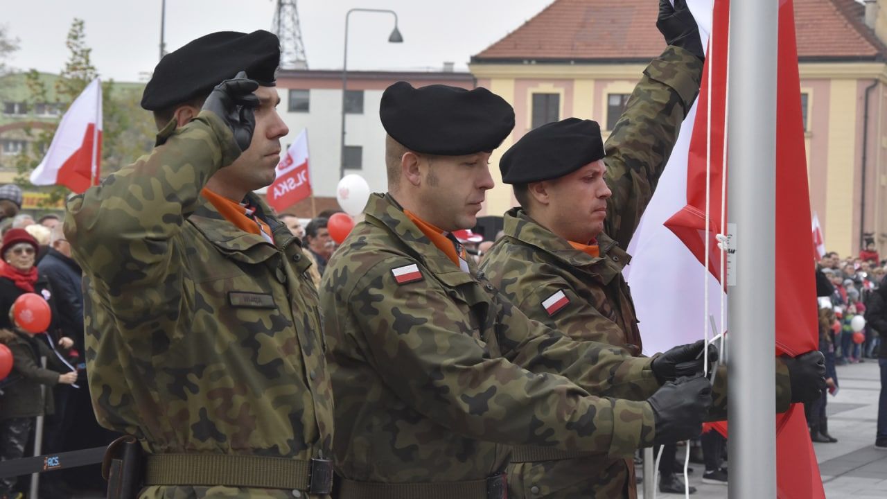 Избавление от буйных: военный профессионал о подстрекательстве поляков к участию в конфликте на Украине Украина