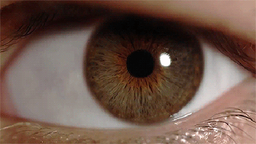 Веселые и забавные жизненные ситуации в гифках 