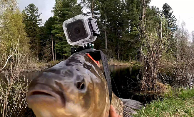 Рыбак прикрепил камеру к карасю и отправил его искать щук: видео
