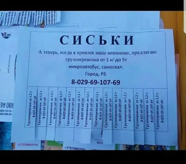 Увидеть паука - это фигня. По-настоящему страшно становится когда он пропадает из виду... 