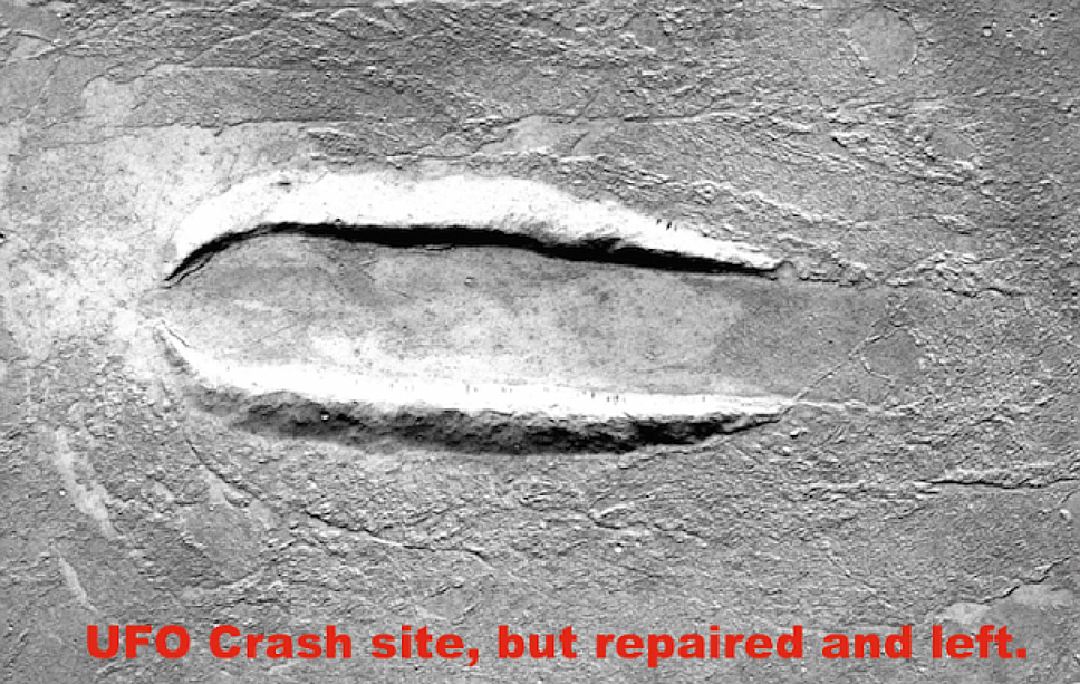 тольятти круги на полях 2005. нло след. нло след. круги на полях адыгея. нло на кукурузном поле.