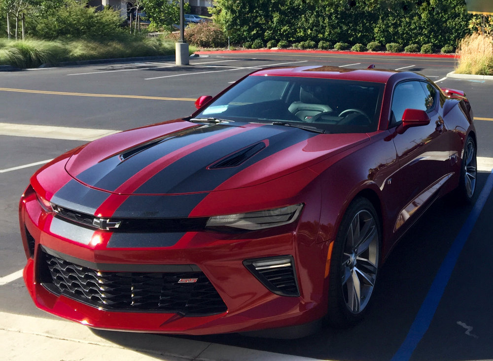 Garnet Red Tintcoat with Black Stripes