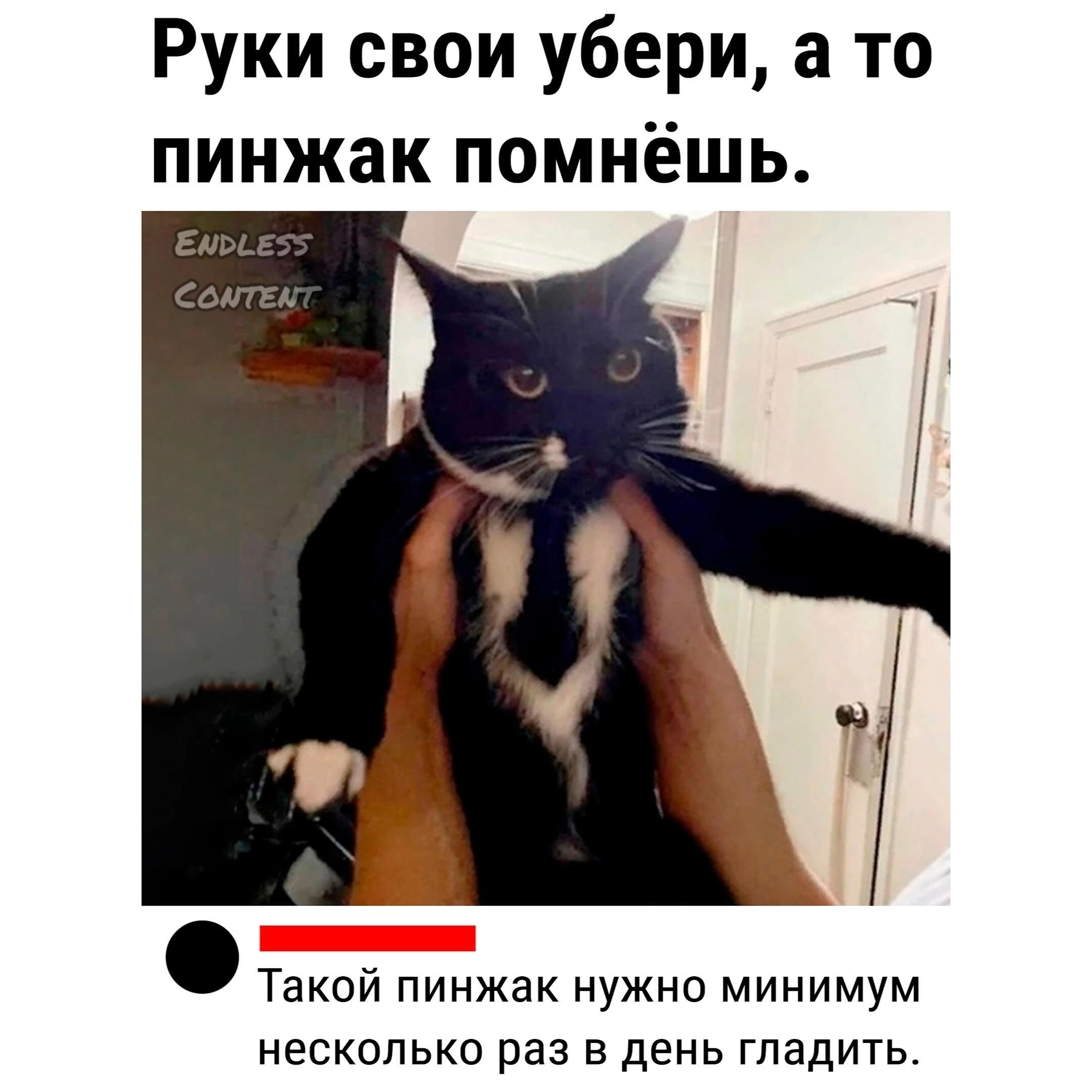 Весна, хочется влюбиться, но жена и теща против... Весна, хочется влюбиться, но жена и теща против... Скандинавские, лениным, новых, сапогах, юностью, облаках, небом, мешке, котом, майне, франкфуртом, разливе, незнайкой, палки, кухне, хозяйкой, должна, Женщина, палками, ходишь