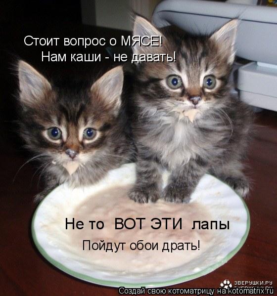 Котоматрица: Стоит вопрос о МЯСЕ! Нам каши - не давать! Пойдут обои драть! Не то  ВОТ ЭТИ  лапы