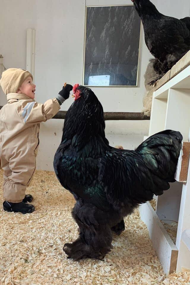 Подборка смешных картинок. Вечерний выпуск Подборка смешных картинок. Вечерний выпуск приколы,смешные картинки,юмор