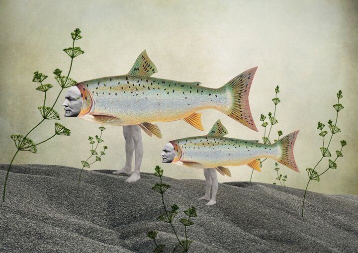 «Пустая» еда: 9 бесполезных продуктов, которые вы едите каждый день