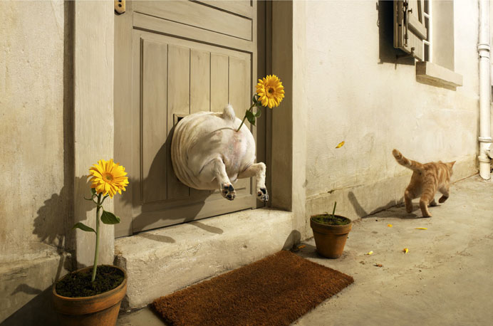 Забавно (40фоток)