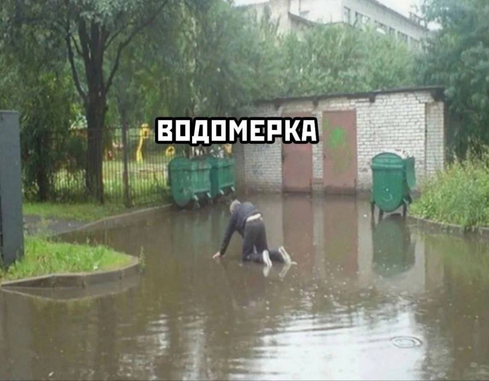 Интернет мемы в пятницу и косточка малины 