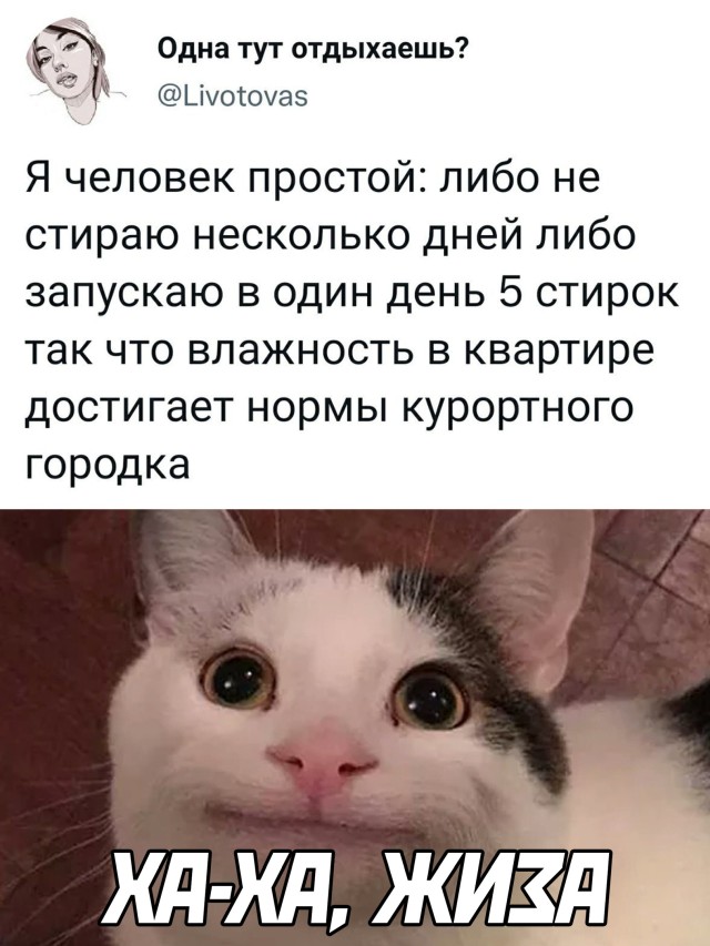 Подборка прикольных картинок  приколы,смешные картинки,юмор