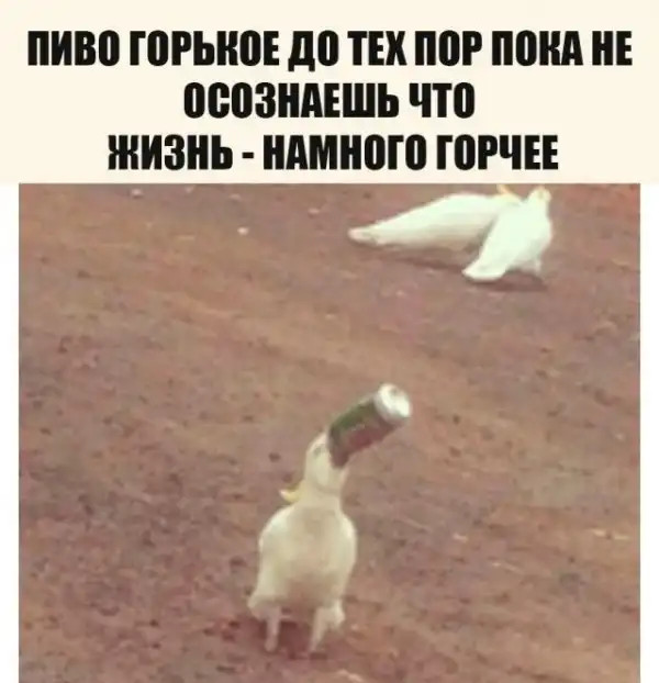 Пост алкогольного юмора на выходные, неразбирающиеся в теме - идём мимо 