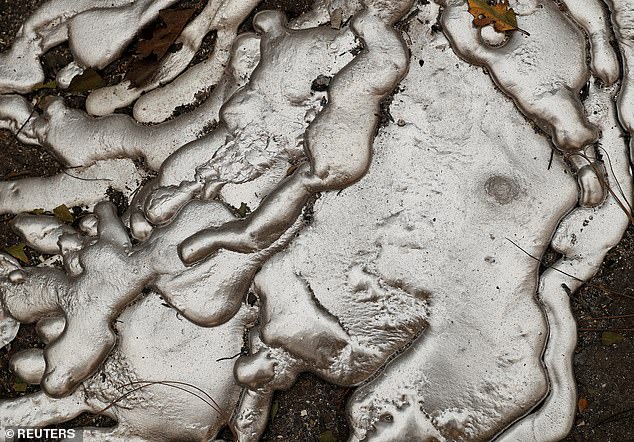 29 фото о том, во что превратилась Калифорния после адских пожаров 