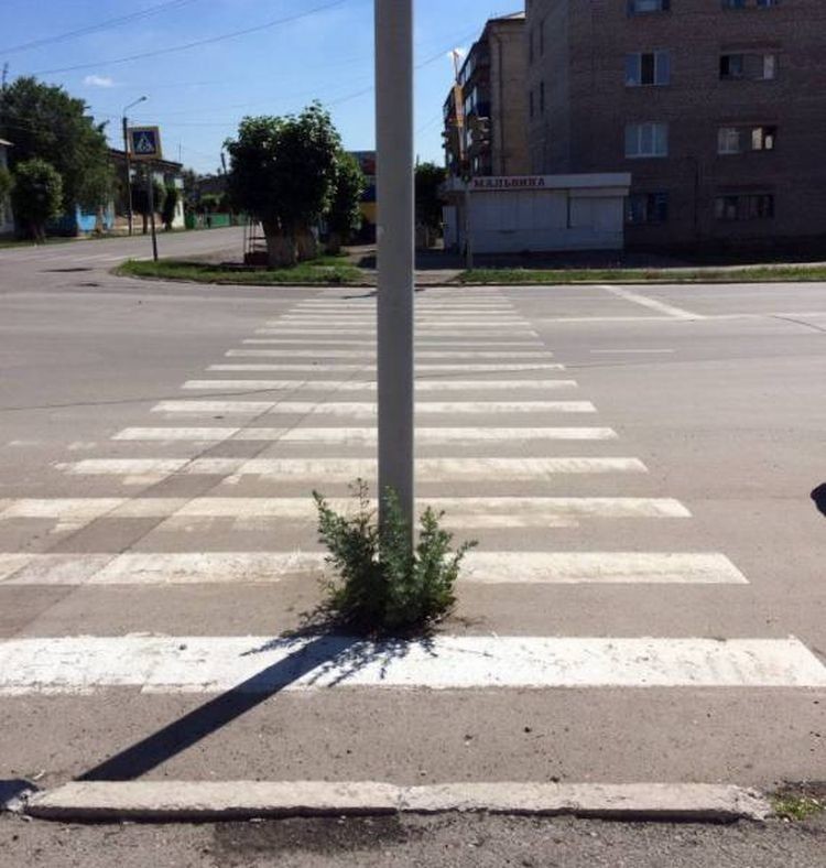 Неподражаемые картины русской жизни с ее национальными особенностями люди, прикол, россия, юмор