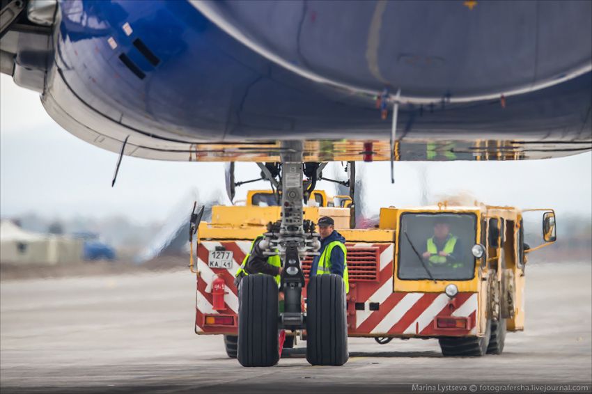 Обслуживание самолета на перроне Boeing 777, авиация, петропавловск-камчатский, елизово