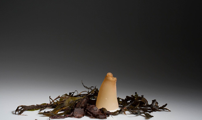 биоразлагаемые бутылки из водорослей 