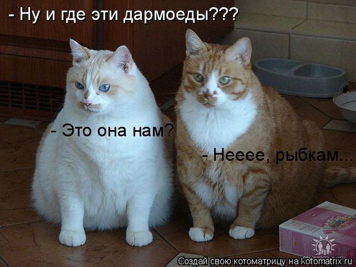 Мысли вслух :)