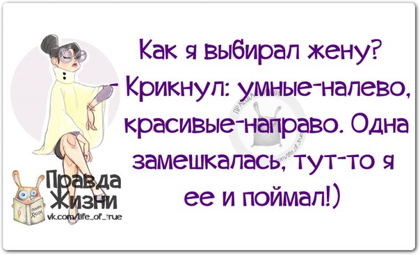 Открытки для, приколы про мужей картинки правда