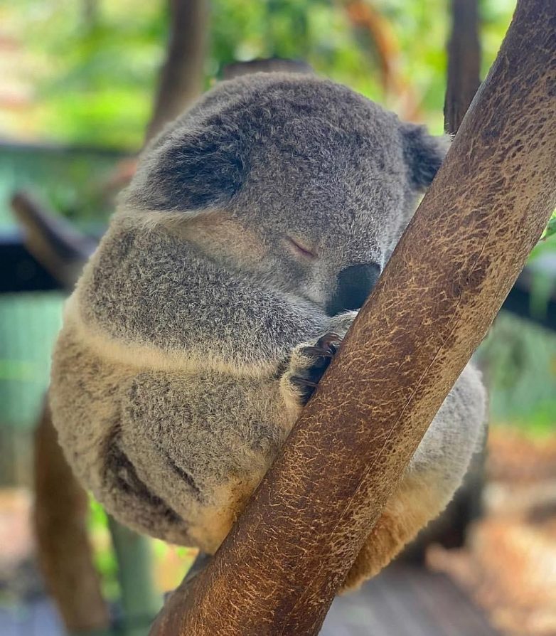 Другая планета? Нет, всего лишь Австралия Другая планета? Нет, всего лишь Австралия