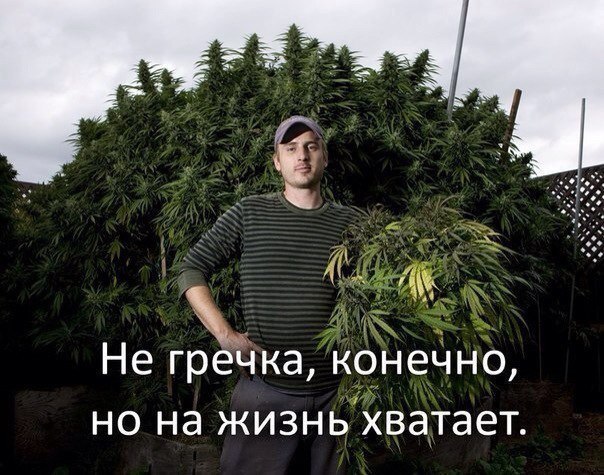 Веселые и смешные картинки с надписями со смыслом (12 фото)