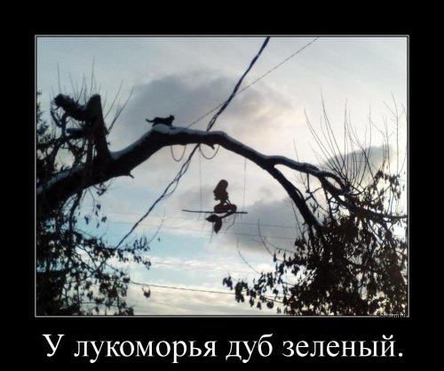 Новые, прикольные демотиваторы на любой вкус 