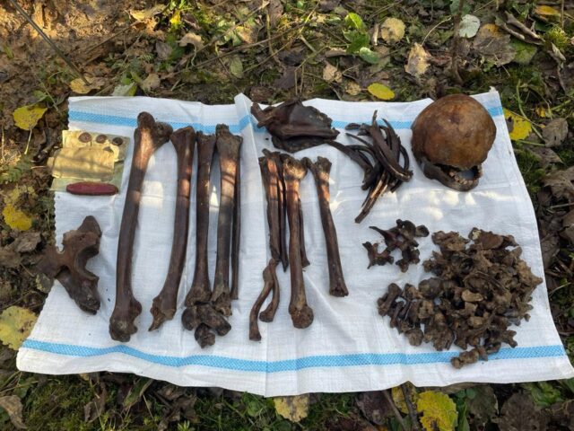 В Тверской области найдены останки трех неизвестных красноармейцев