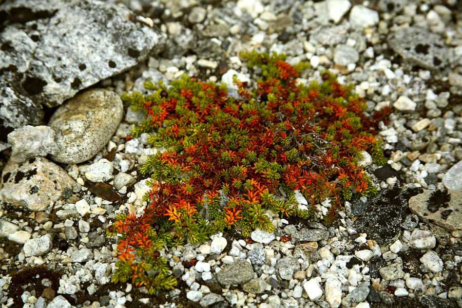 На краю света на яхте путешествия