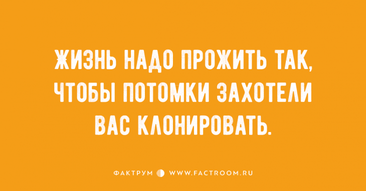 Забавные анекдоты обо всём на свете, которые вызовут у вас неконтролируемый смех