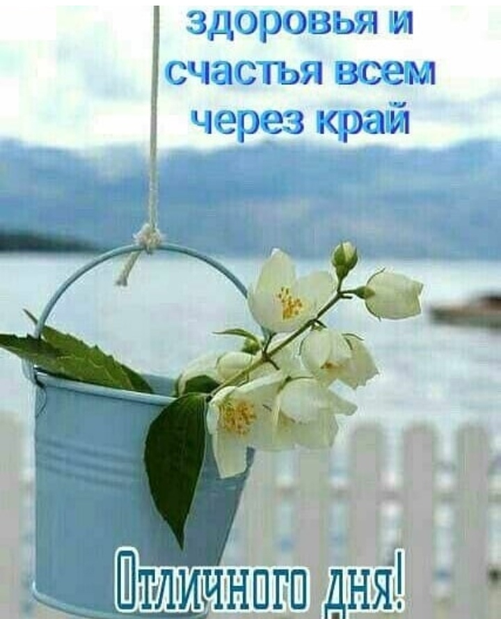 Свежий юмор для получения позитива и отличного настроения 