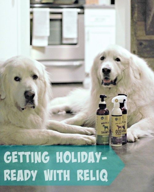 It's Dog or Nothing | Getting Holiday-Ready with RELIQ