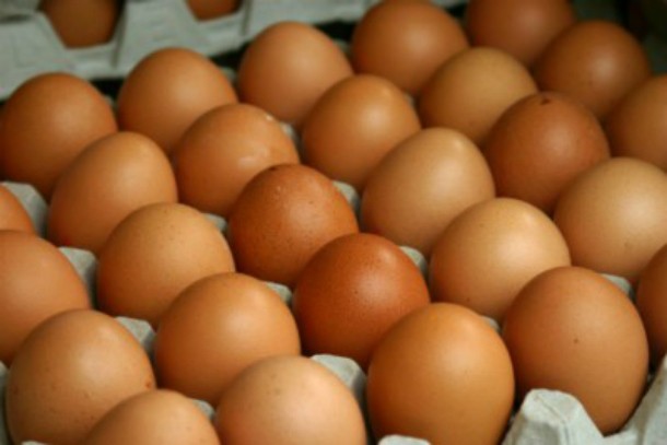 eggs-610x407