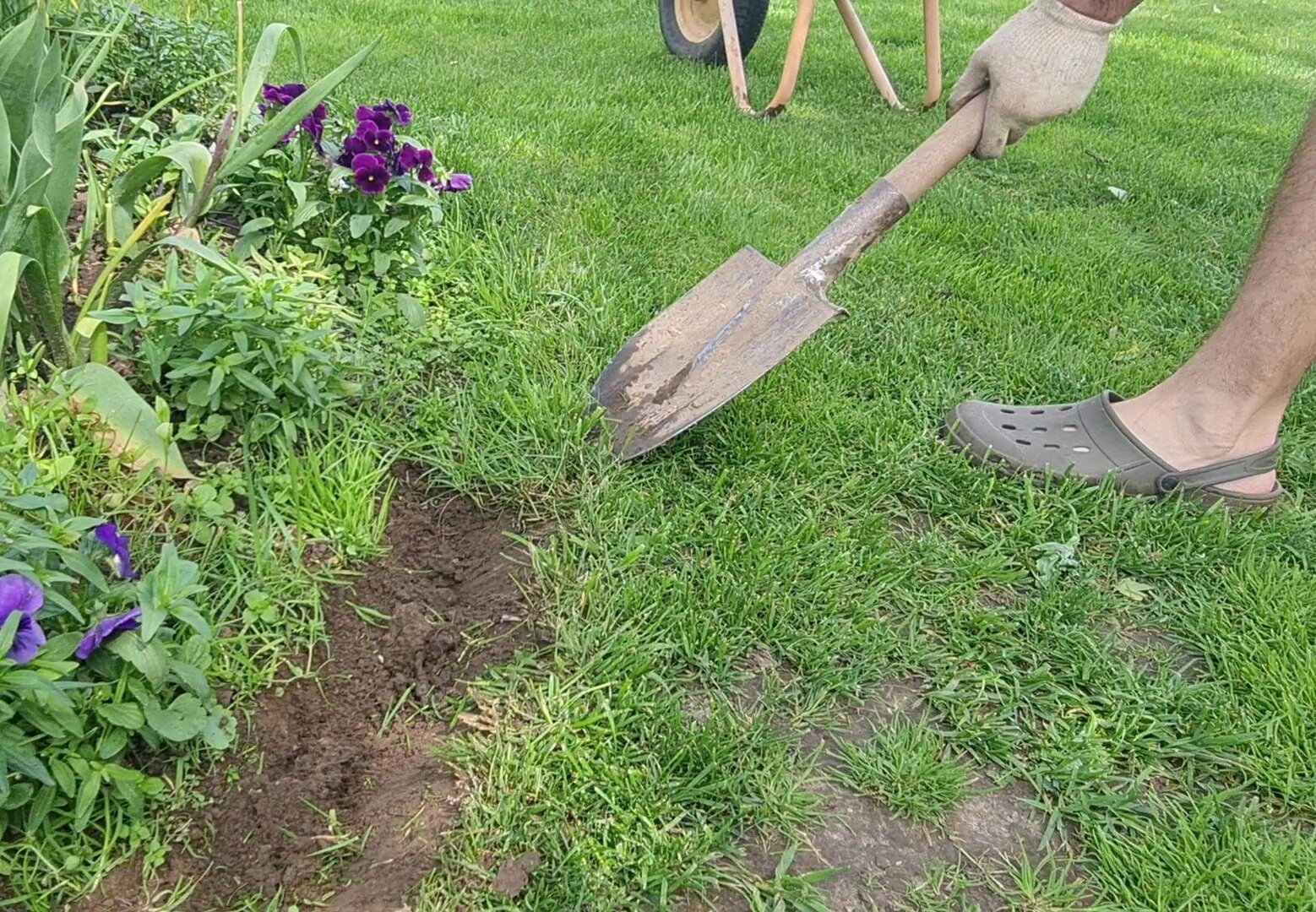 Сделали бесплатное ограждение газона от клумб как в Английских садах. Нужна только лопата и час времени дача,лайфхаки,сад и огород