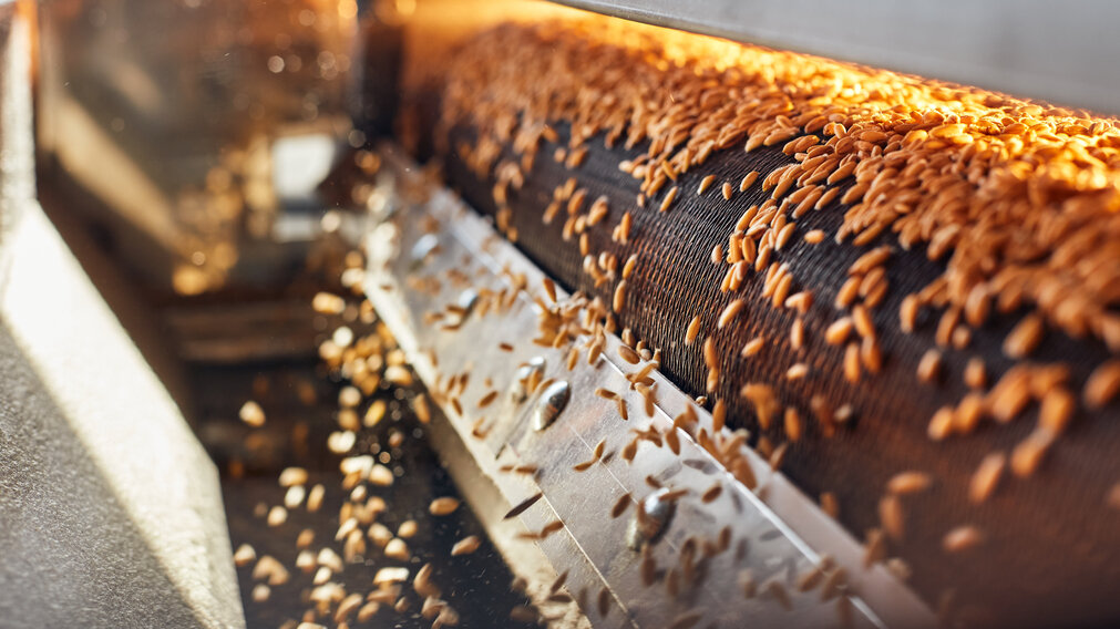 Объем производства продуктов глубокой переработки зерна в России составляет около 1 млн тонн, для чего требуется около 2,5 млн тонн сырья.