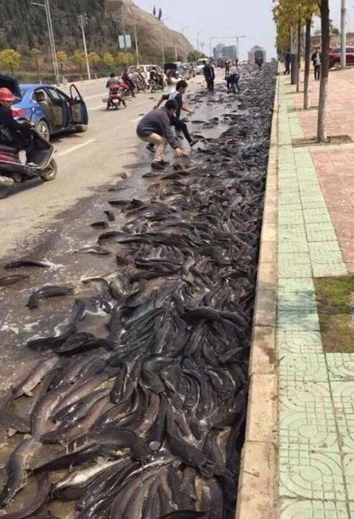 Весьма странные дела... Весьма странные дела...