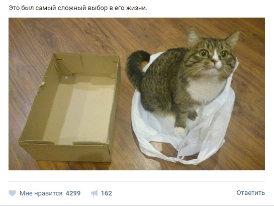 Смешные комментарии и высказывания из социальных сетей высказывания, комментарии, прикол