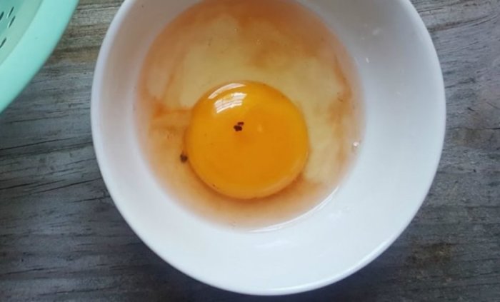 Можно ли есть яйца с красным пятном на желтке