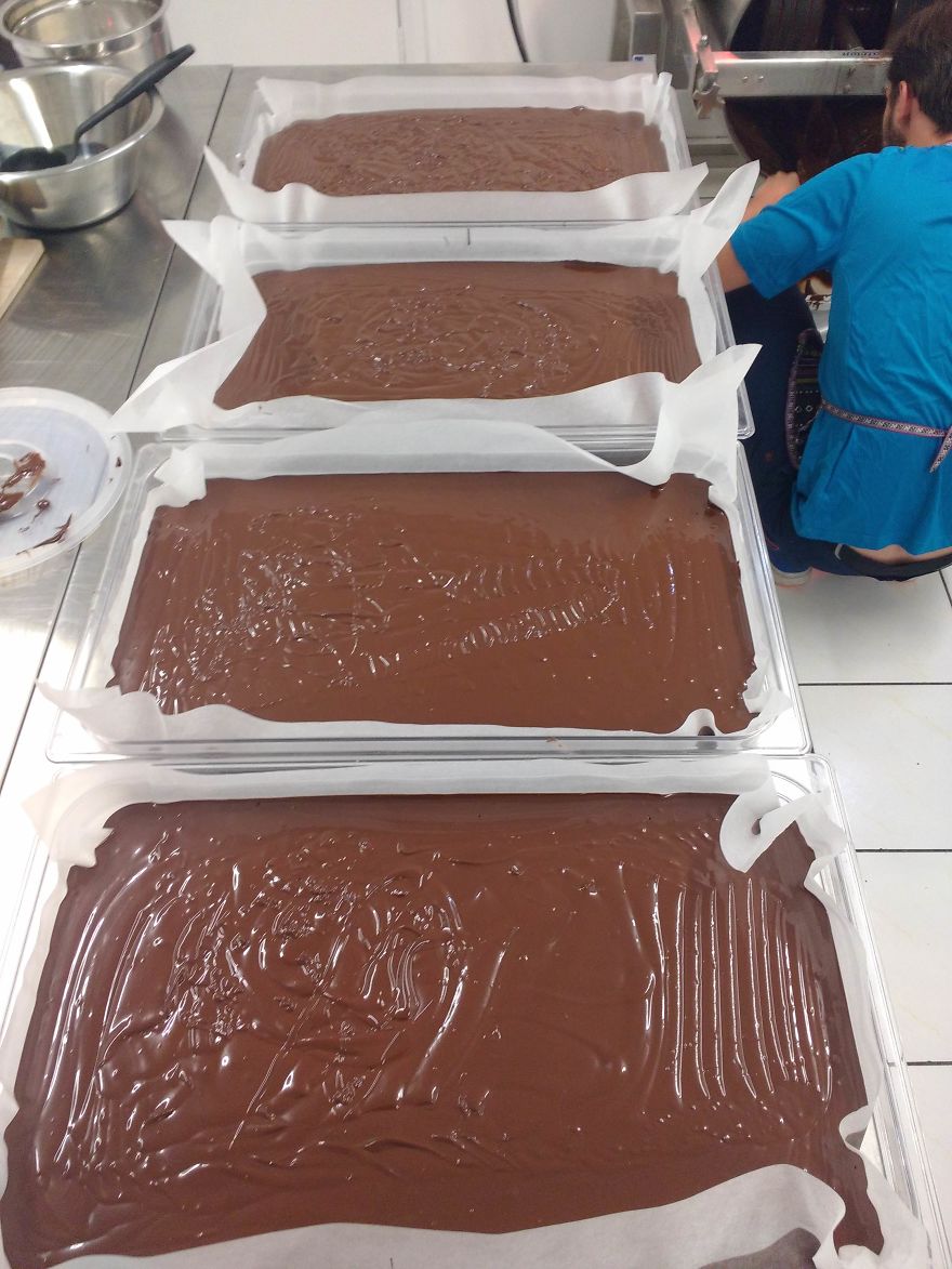 Процесс выращивания и производства шоколада