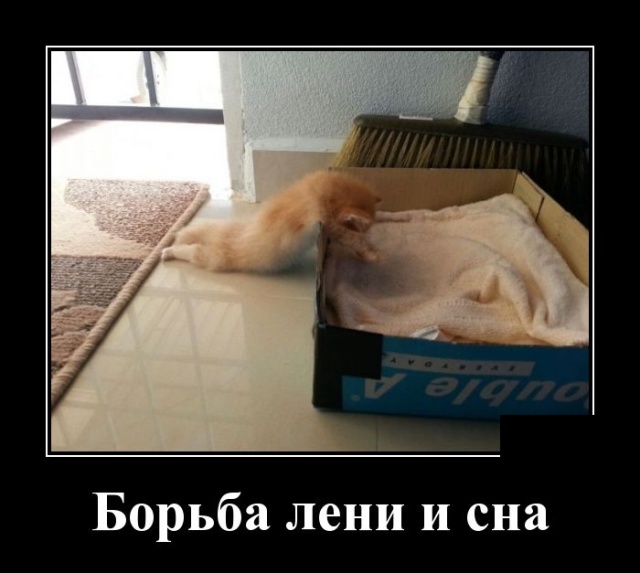 Подборка смешных, веселых и прикольных демотиваторов пятницы Подборка смешных, веселых и прикольных демотиваторов пятницы демотиваторы свежие,смешные демотиваторы