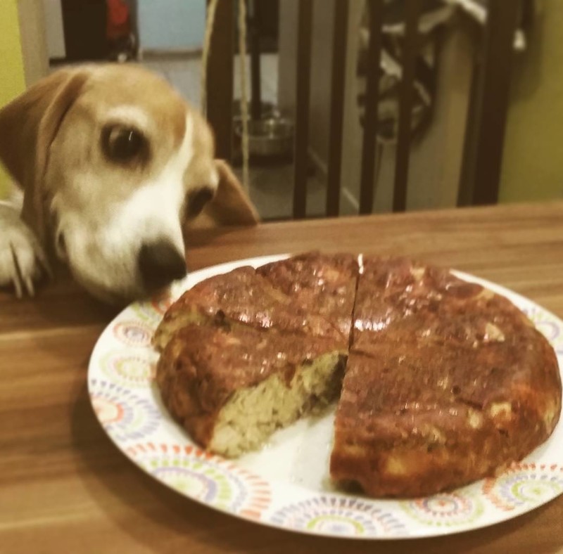 16 удачных кадров, сделанных за мгновение до...