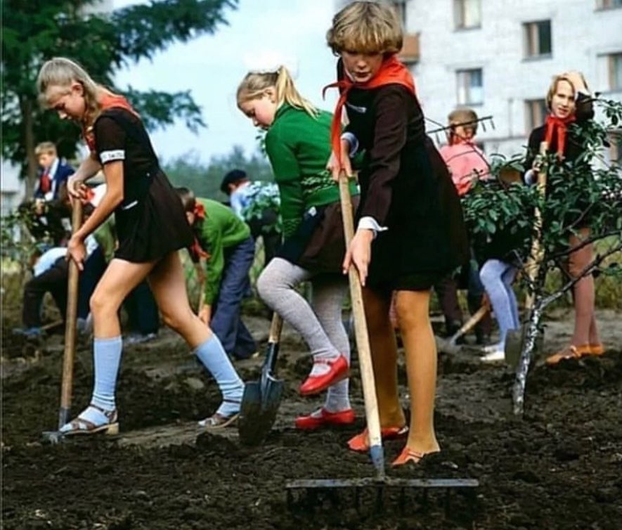 Летняя отработка в школе. Парты красили, окна мыли, учебники подклеивали. И никто не ныл 