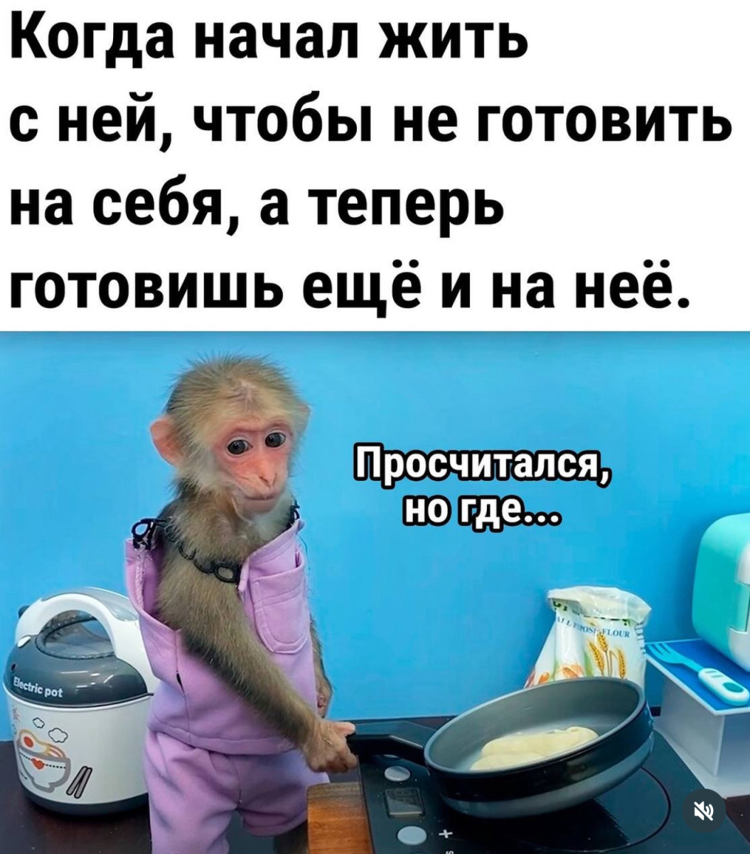 Интернет мемы в пятницу и косточка малины 