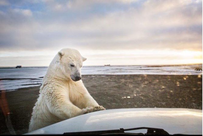 35 лучших фото от National Geographic за всю историю бренда Природа