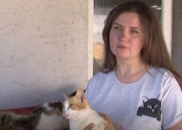Украинка держит дома 70 котов, кадры: 