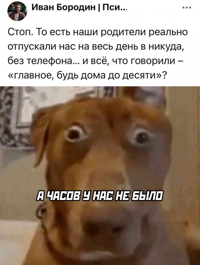 Интернет мемы в пятницу и косточка малины 