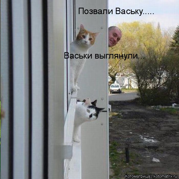 Котоматрица: Позвали Ваську..... Васьки выглянули...