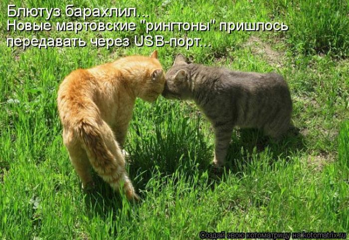 Мысли вслух :)