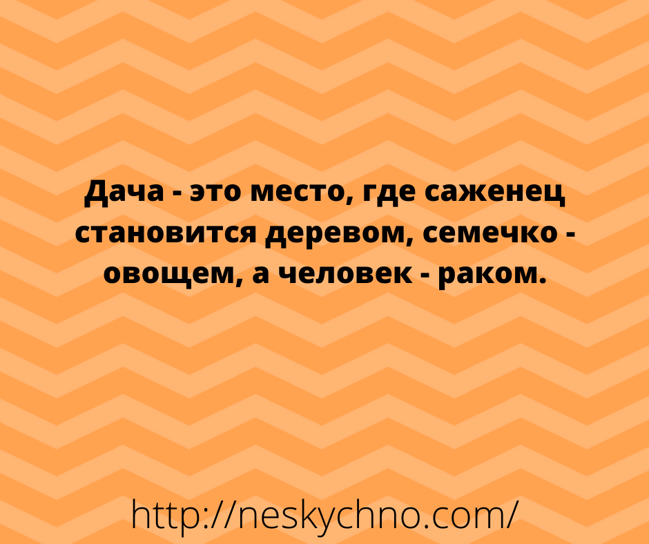 Великолепная подборка юмора для классного настроения Великолепная подборка юмора для классного настроения