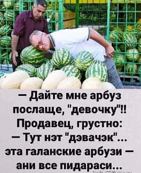 Поляк и француз на пляже. Вокруг француза — стая женщин...