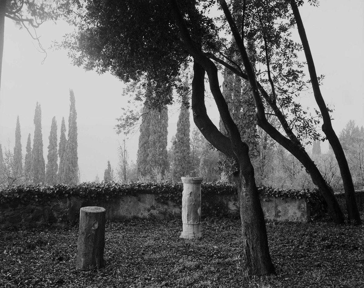 Классическое и современное в фототворчестве Реджины ДеЛуис Классическое и современное в фототворчестве Реджины ДеЛуис Фотография