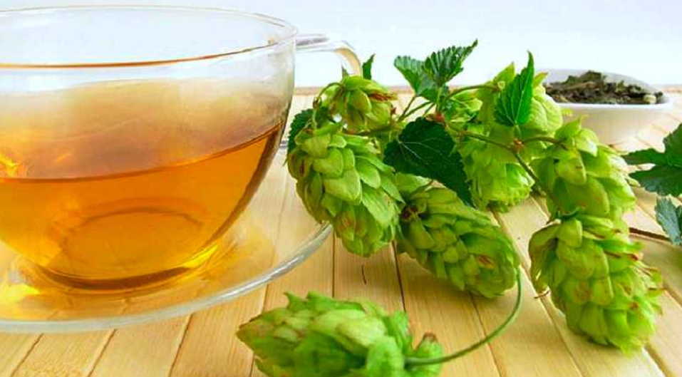 Фитогормоны для здоровья женщин и мужчин: продлеваем молодость на долгие годы!