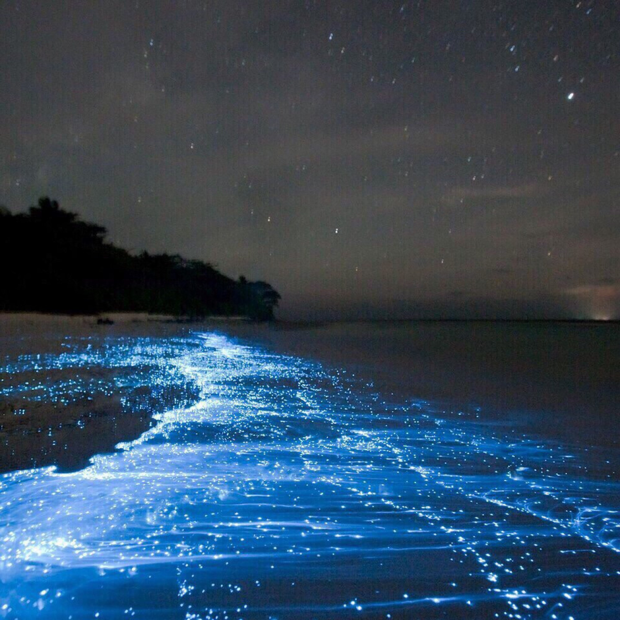 Биолюминесцентный планктон на Мальдивах