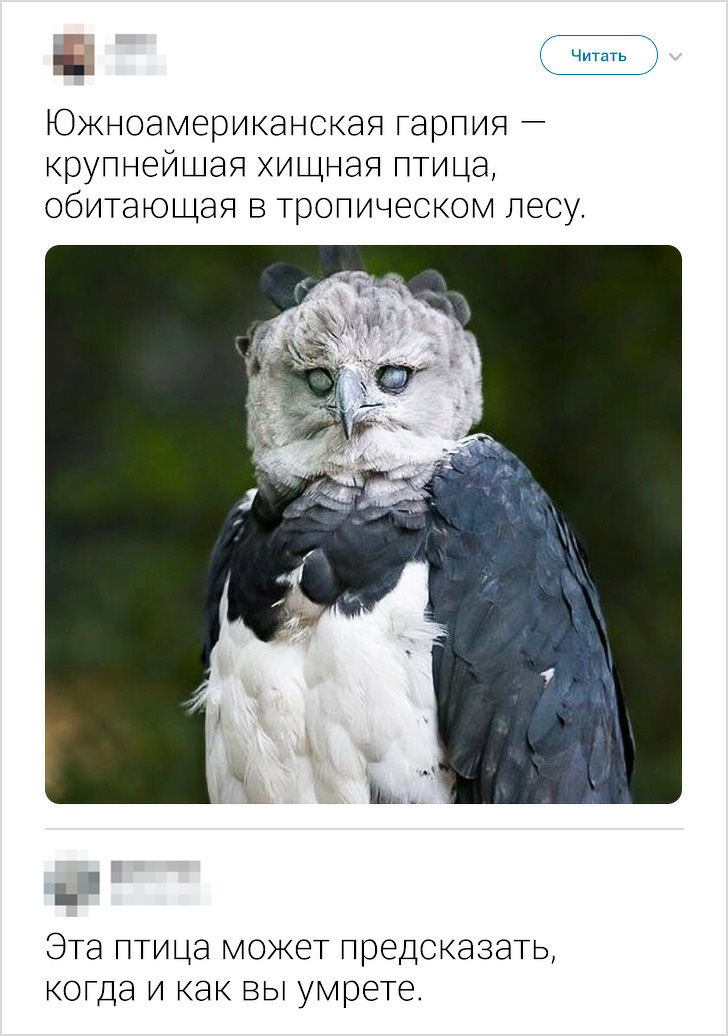 Миссионер несколько лет прожил в африканском племени..